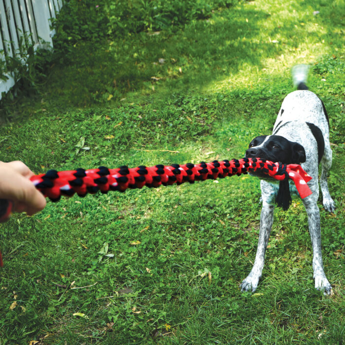 Παιχνίδι KONG Signature Rope Double Ring Tug - Image 3