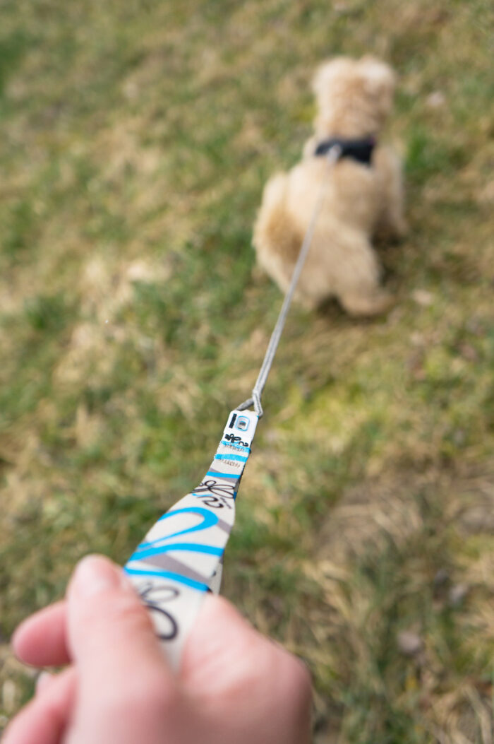 Οδηγός τσέπης CURLI Ultra Strong Pocket leash - Image 2