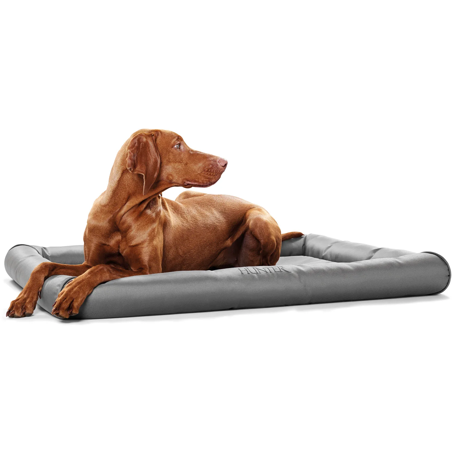 Στρώμα - Μαξιλάρι σκύλου HUNTER Vermont - Image 4