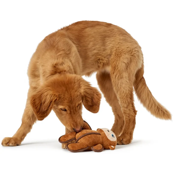 HUNTER Παιχνίδι Tough Toy Monkey - Image 3
