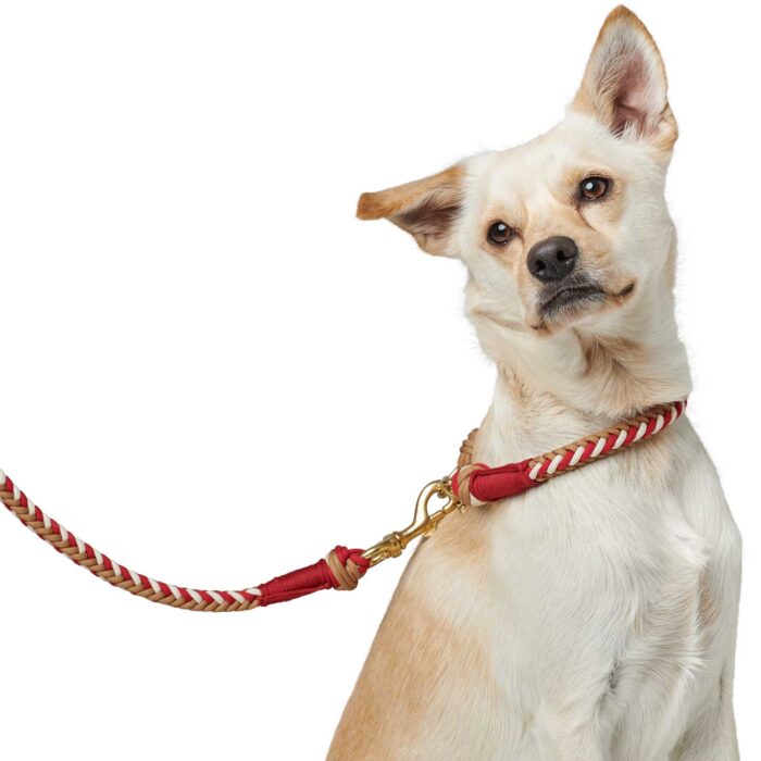 Περιλαίμιο Hunter Collar Tinnum - Image 5
