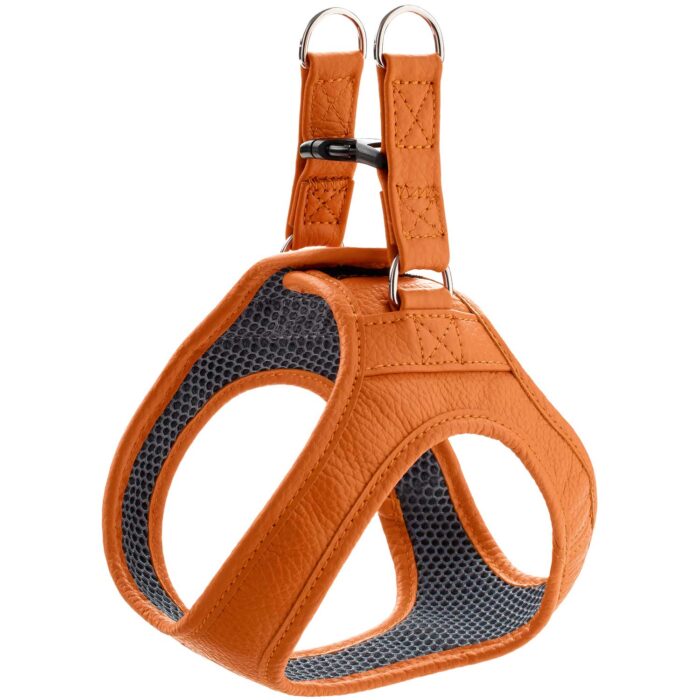 Δερμάτινο Σαμαράκι Hunter Harness Geschirr Hilo - Image 10