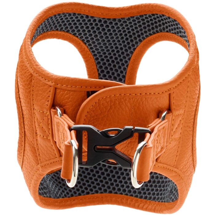 Δερμάτινο Σαμαράκι Hunter Harness Geschirr Hilo - Image 9