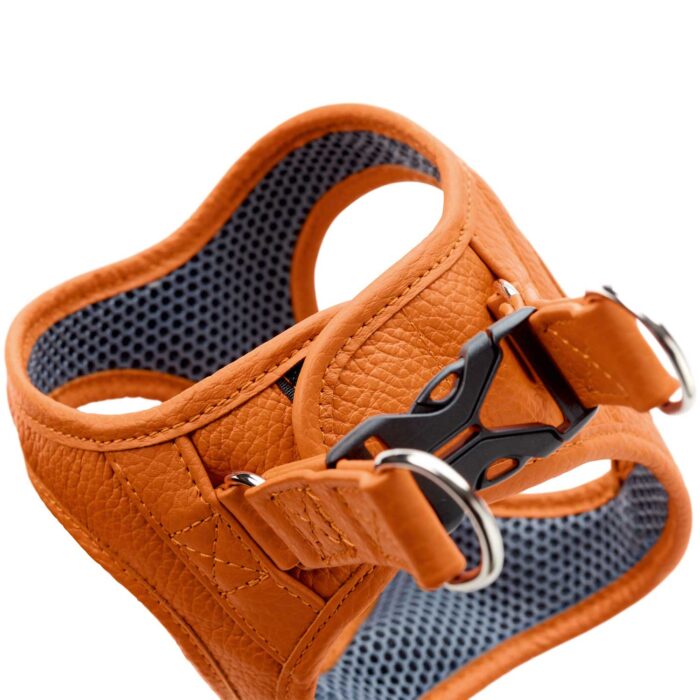 Δερμάτινο Σαμαράκι Hunter Harness Geschirr Hilo - Image 7
