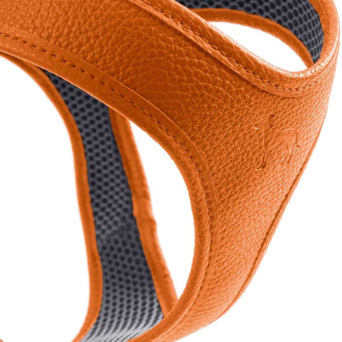 Δερμάτινο Σαμαράκι Hunter Harness Geschirr Hilo - Image 4