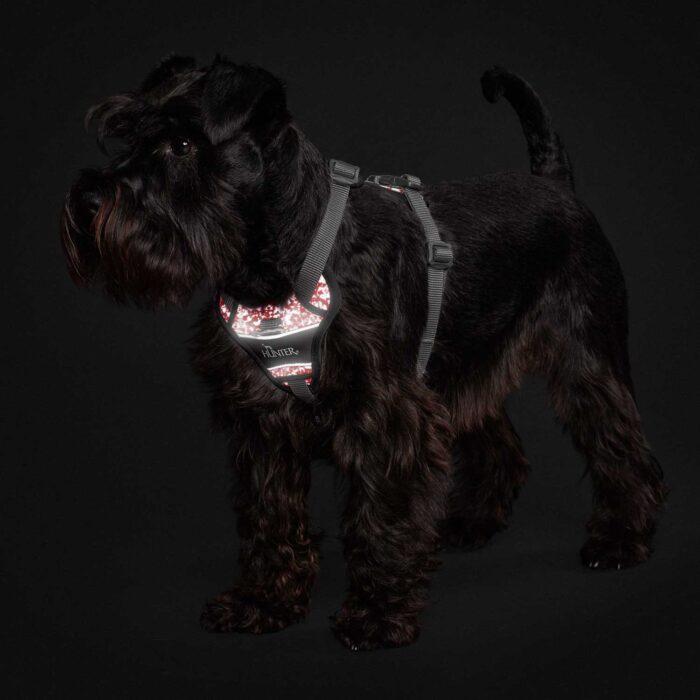 Hunter Σαμαράκι Harness Divo Reflect - Image 12