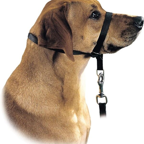 HUNTER Follow Me Education Εκπαιδευτικός οδηγός