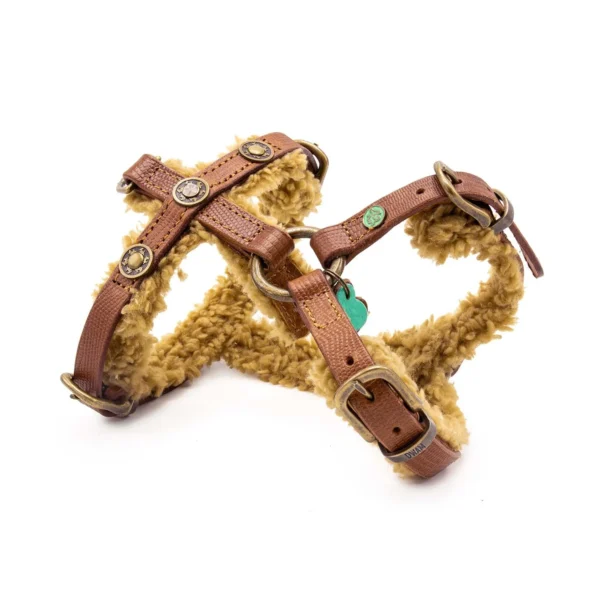 Σαμαράκι DWAM Teddy Dog Harness Small