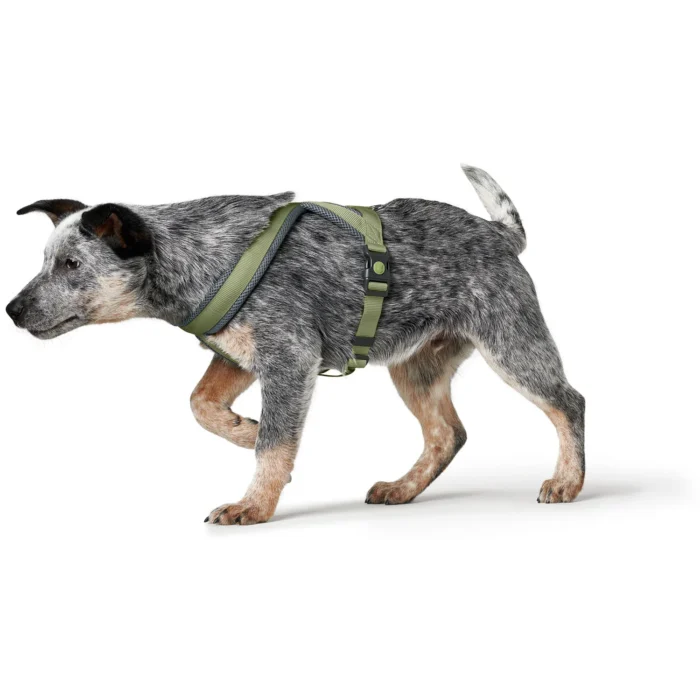 Σαμαράκι HUNTER London Comfort Harness