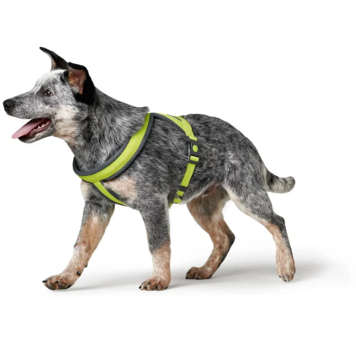 Σαμαράκι HUNTER London Comfort Harness - Image 5