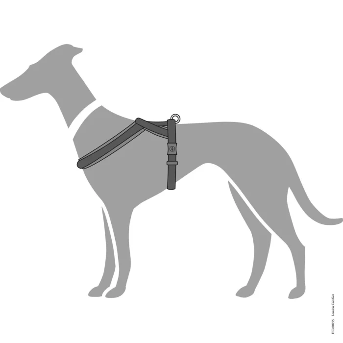 Σαμαράκι HUNTER London Comfort Harness - Image 9