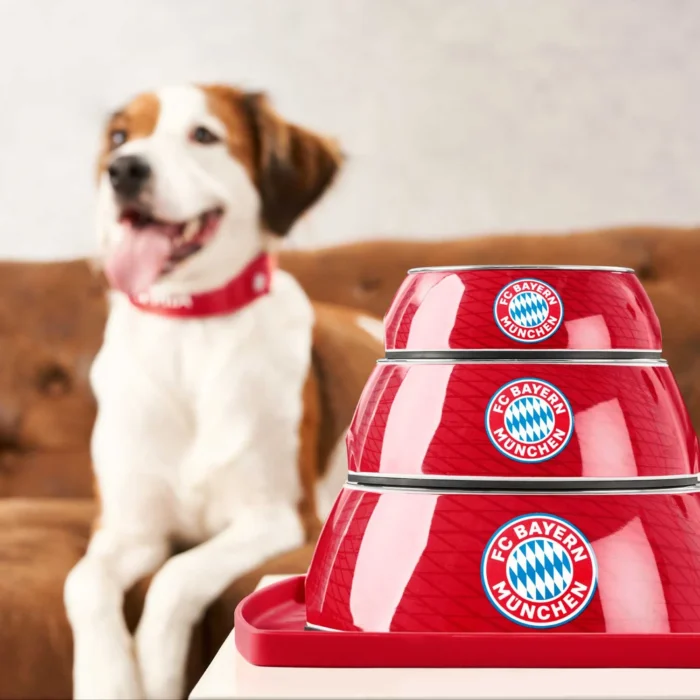 Μπολ HUNTER FC Bayern Munchen - Image 3