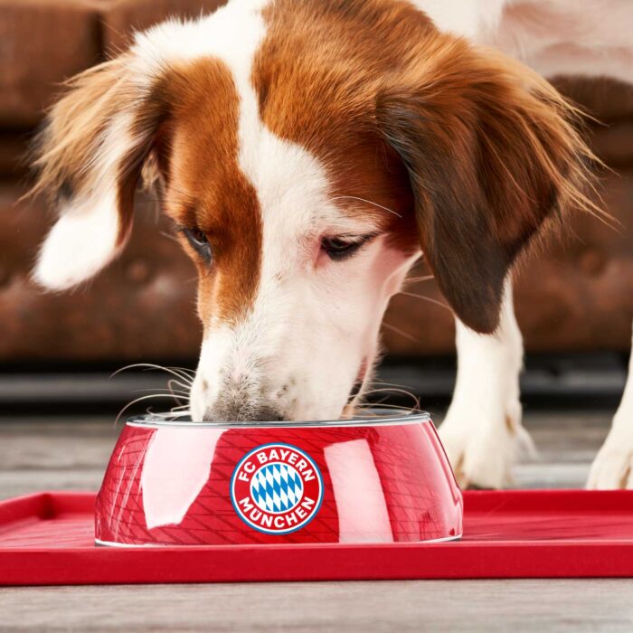 Μπολ HUNTER FC Bayern Munchen - Image 5