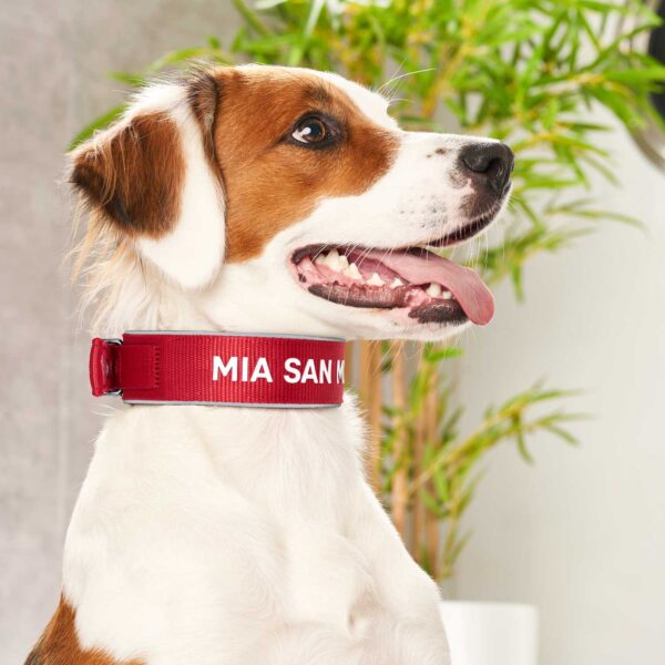 Περιλαίμιο HUNTER FC Bayern Mia san Mia