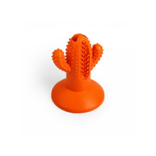 Παιχνίδι οδοντικής φροντίδας AFP Dental Cactus