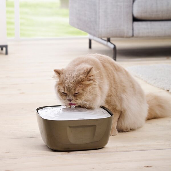 Σιντριβάνι σκύλου και γάτας SAVIC Volcano 2,5L