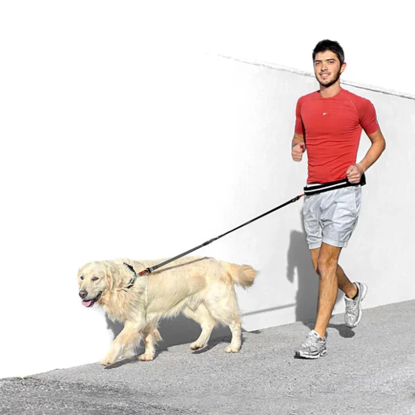 Οδηγός - Ζώνη για jogging FERPLAST Ergocomfort Freetime