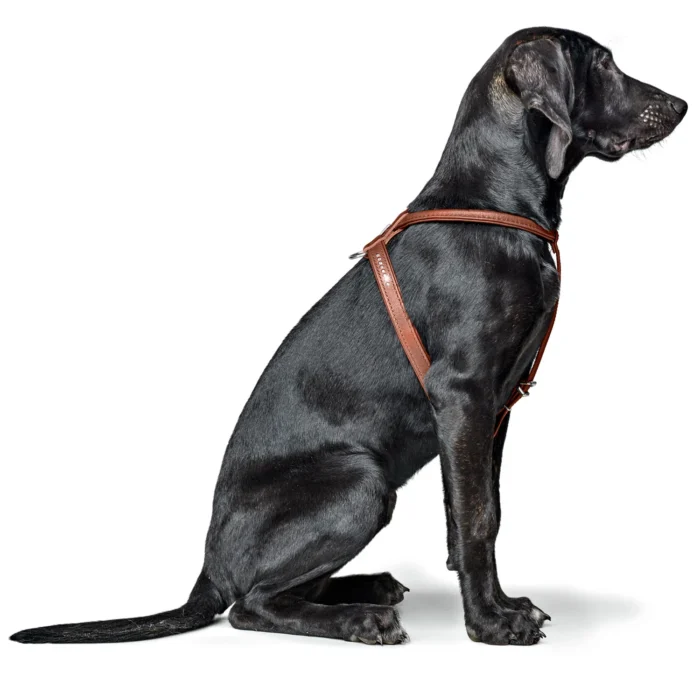 Δερμάτινο σαμαράκι HUNTER Round & soft canadian up luxus SWAROVSKI - Image 9