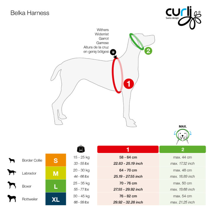 Σαμαράκι CURLI Belka basic harness - Image 9