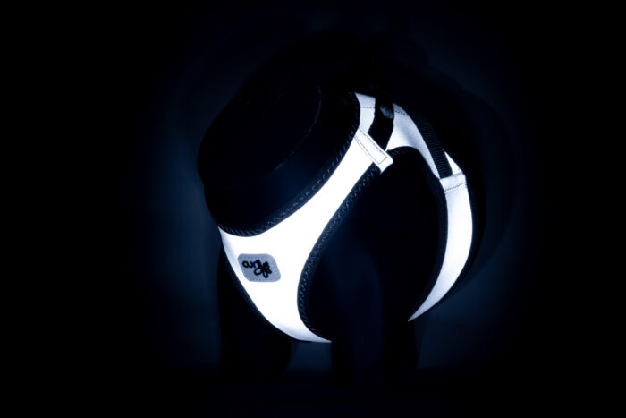 Σαμαράκι που φωσφορίζει Curli Glow - Image 6