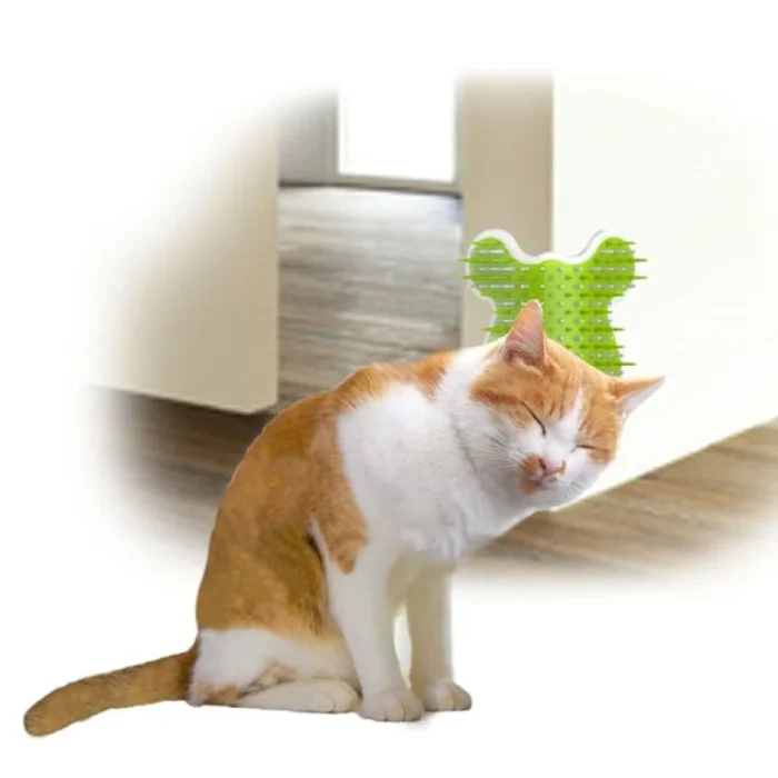 Βούρτσα - παιχνίδι περιποίησης γάτας AFP Cat corner groomer