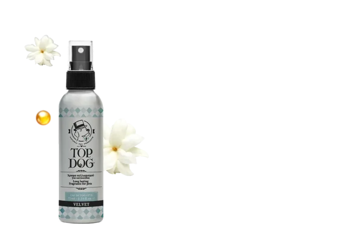 Top Dog άρωμα Velvet 75ml - Image 2