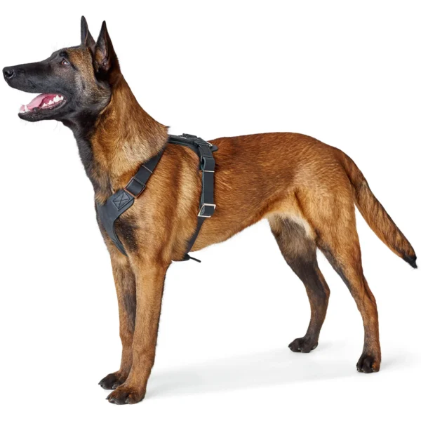 Δερμάτινο σαμαράκι σκύλου HUNTER Aalborg