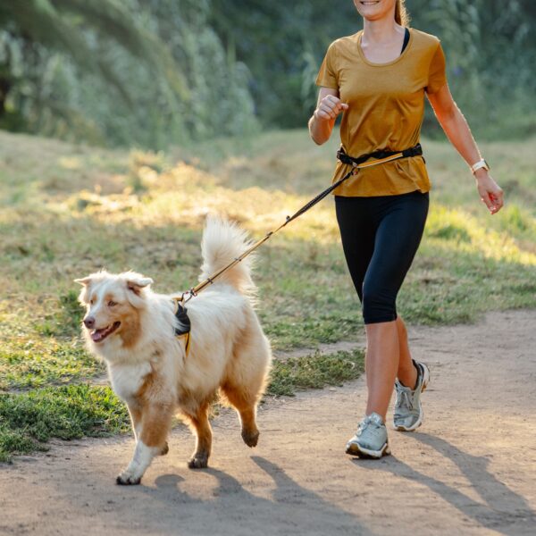 Οδηγός & Ζώνη Σκύλου για jogging ROGZ AirTech Sport