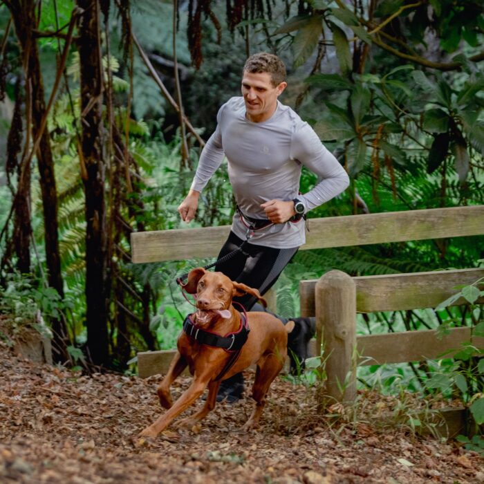 Οδηγός & Ζώνη Σκύλου για jogging ROGZ AirTech Sport - Image 2
