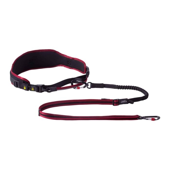 Οδηγός & Ζώνη Σκύλου για jogging ROGZ AirTech Sport - Image 3