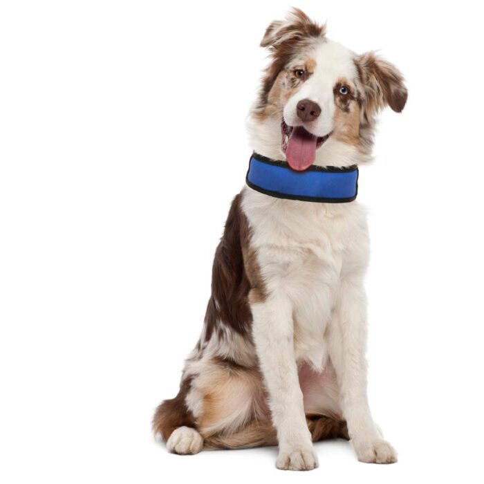Περιλαίμιο δροσιάς CROCI Fresh cooling collar 50 x 6cm