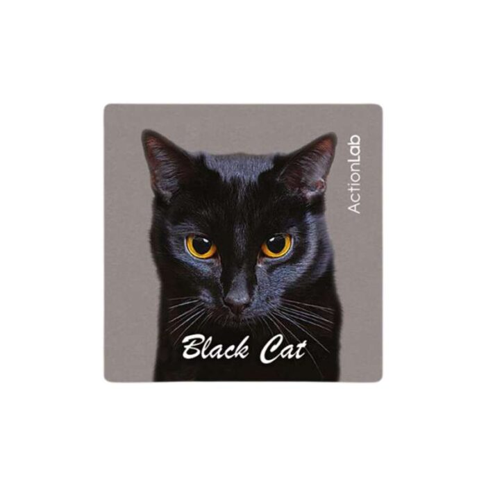 Μαγνητάκι ψυγείου Action Lab black cat