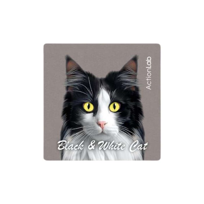 Μαγνητάκι ψυγείου Action Lab Black & white cat