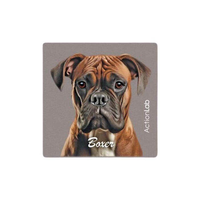 Μαγνητάκι ψυγείου Action Lab Boxer