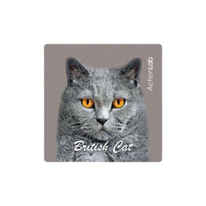 Μαγνητάκι ψυγείου Action Lab British Cat