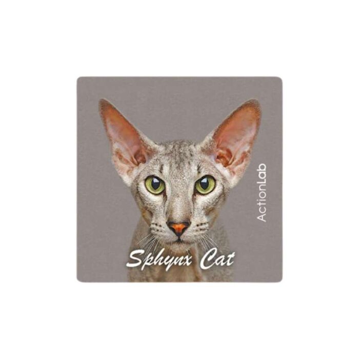 Μαγνητάκι ψυγείου Action Lab Sphynx cat