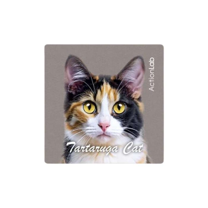 Μαγνητάκι ψυγείου Action Lab Tartarouga cat