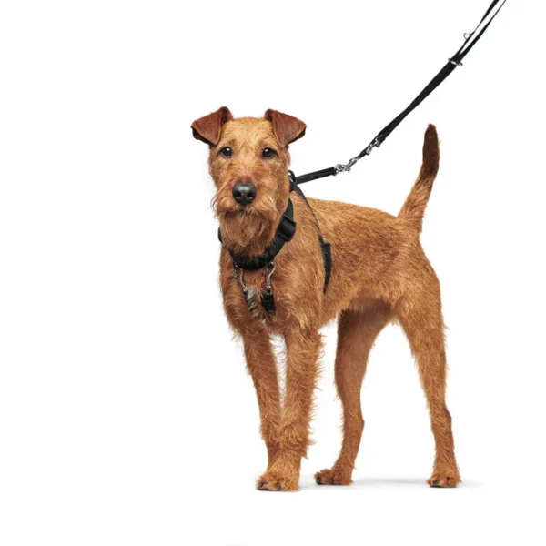 Εκπαιδευτικό σαμαράκι με οδηγό - ζώνη HUNTER Side by side