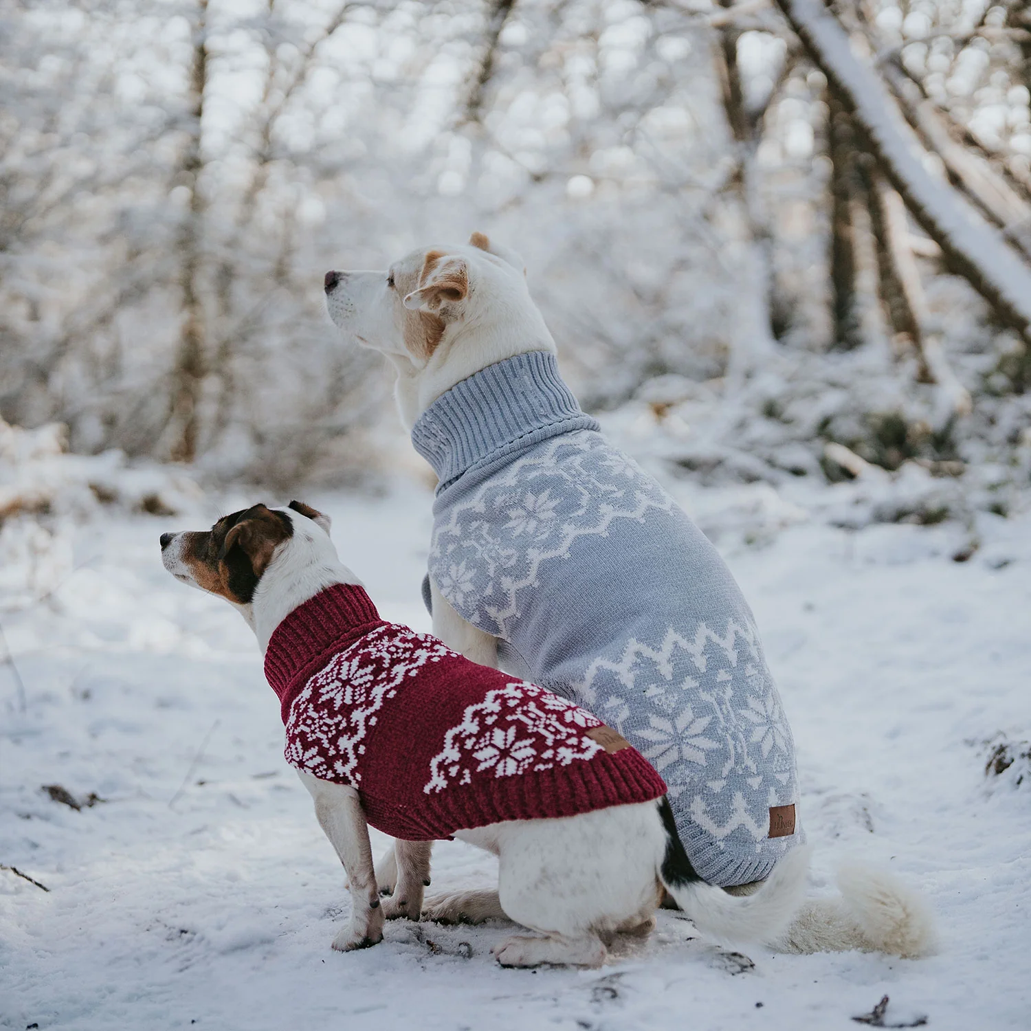 Πλεκτό πουλόβερ HUNTER Birka - Image 7