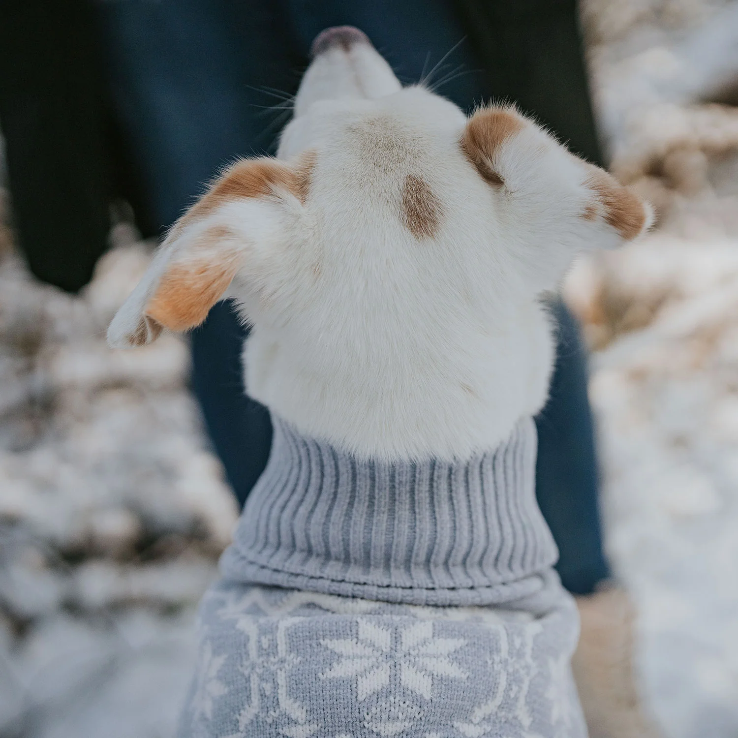 Πλεκτό πουλόβερ HUNTER Birka - Image 8