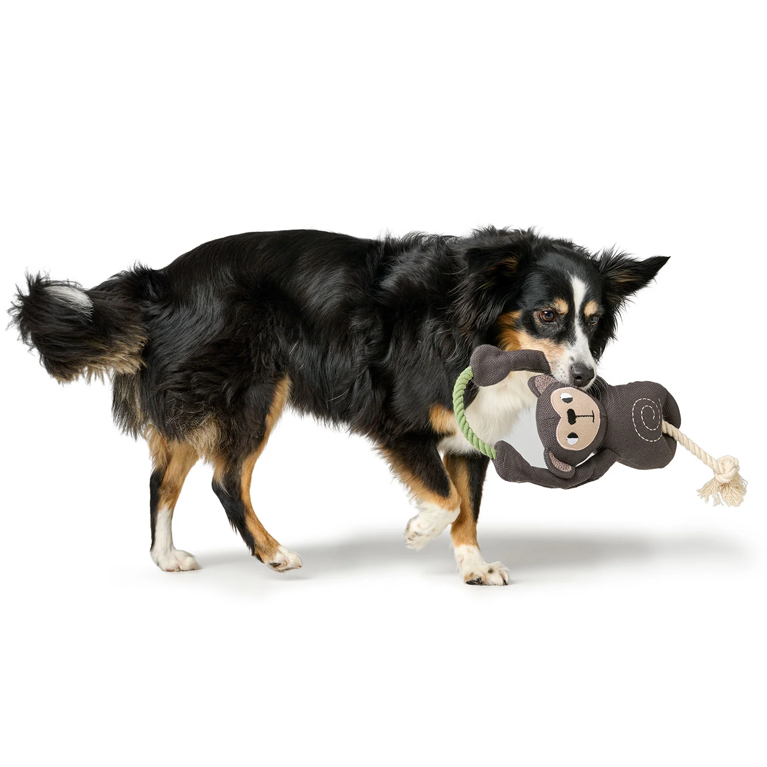 Παιχνίδι σκύλου HUNTER Rio Monkey - Image 2