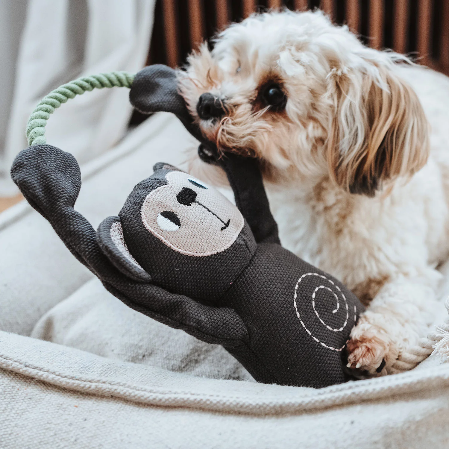 Παιχνίδι σκύλου HUNTER Rio Monkey - Image 3