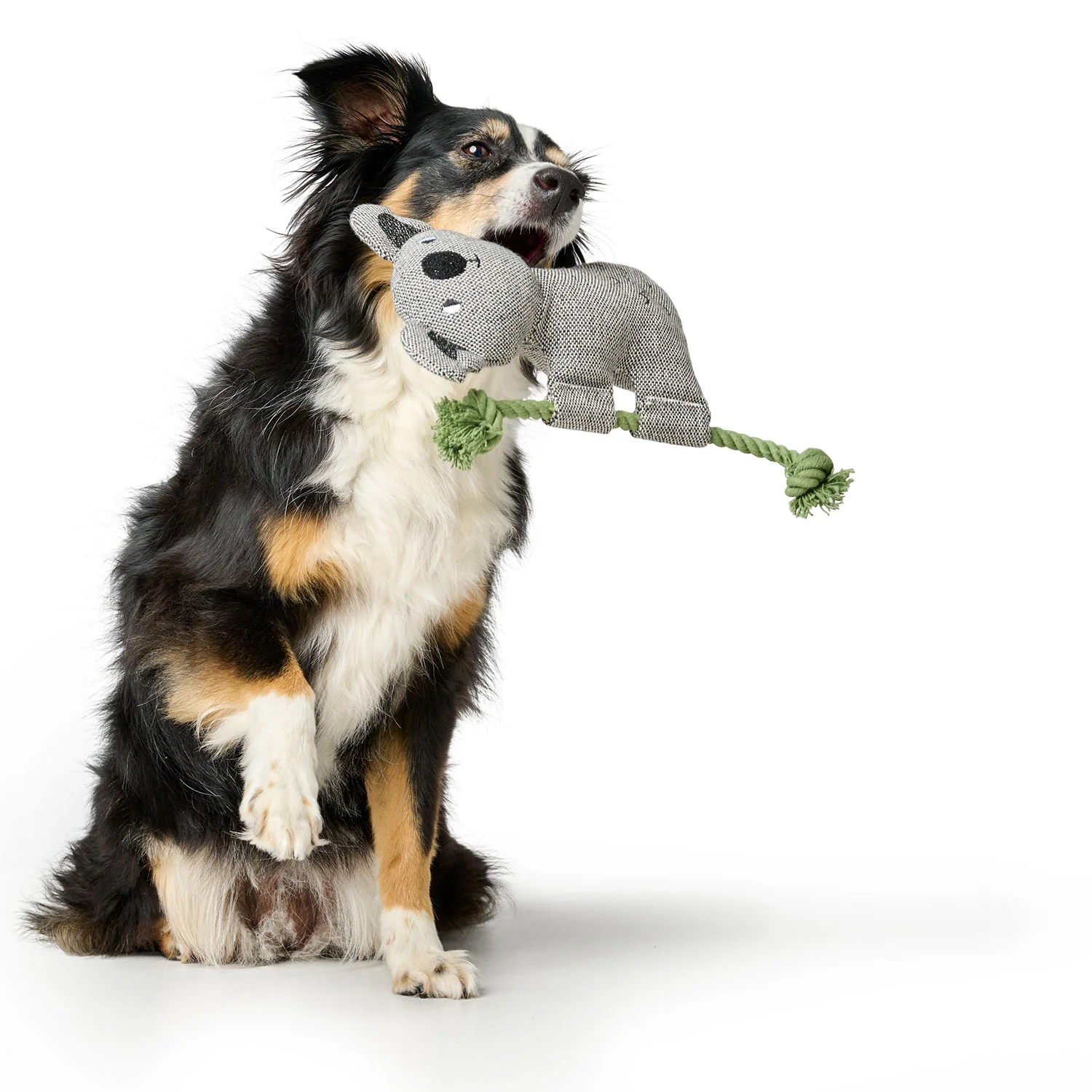 Παιχνίδι σκύλου HUNTER Rio Koala - Image 2