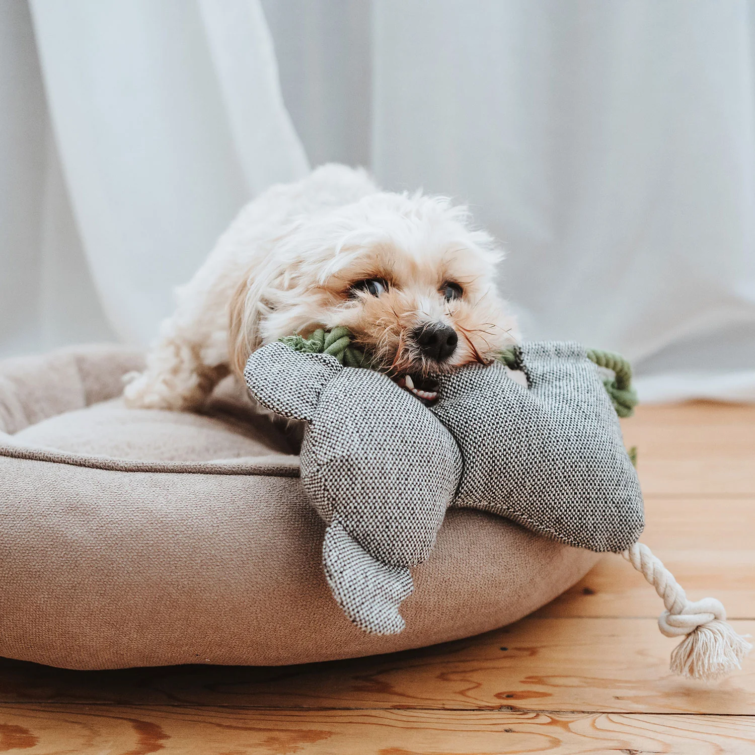 Παιχνίδι σκύλου HUNTER Rio Koala - Image 3