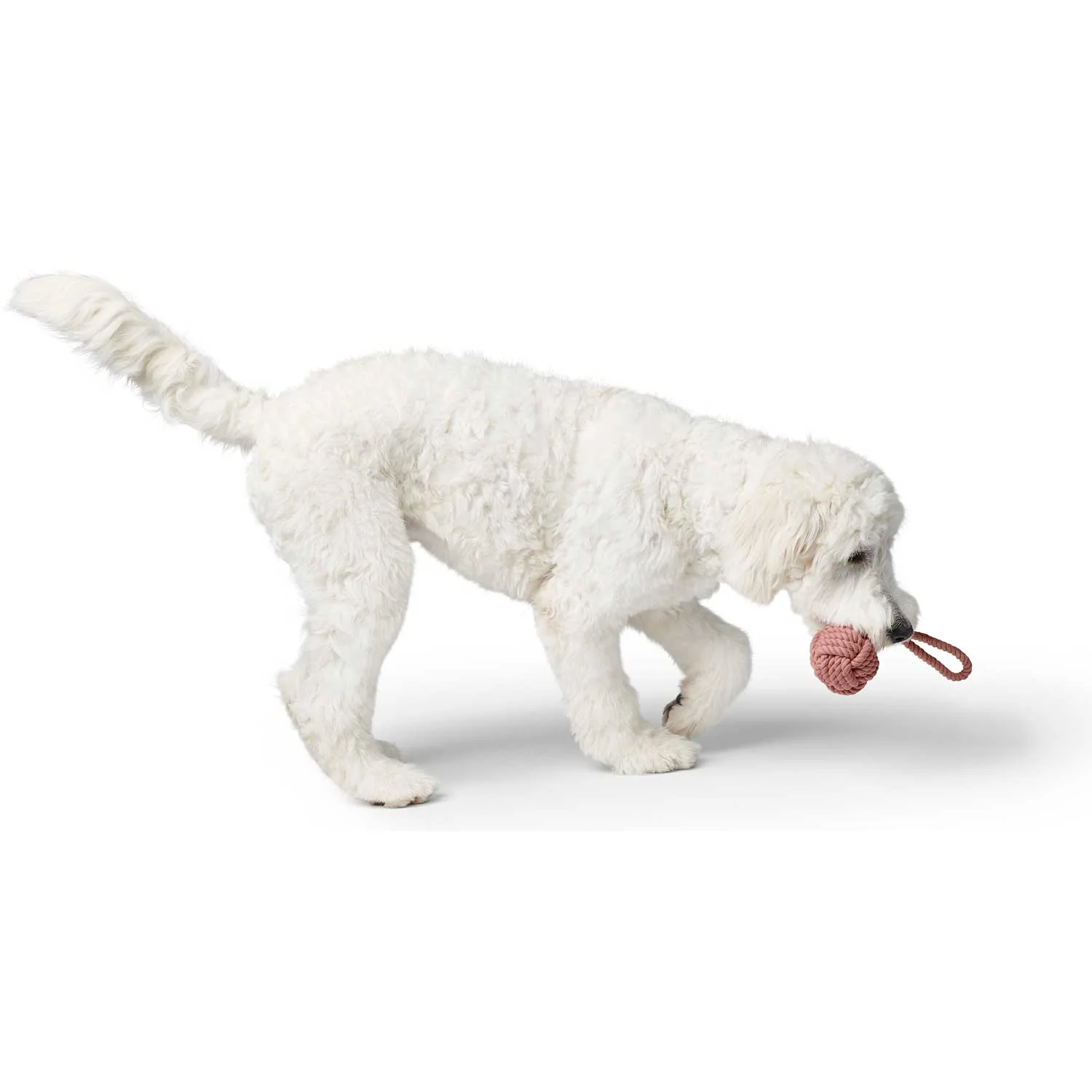 Παιχνίδι σκύλου HUNTER Inari - Image 2