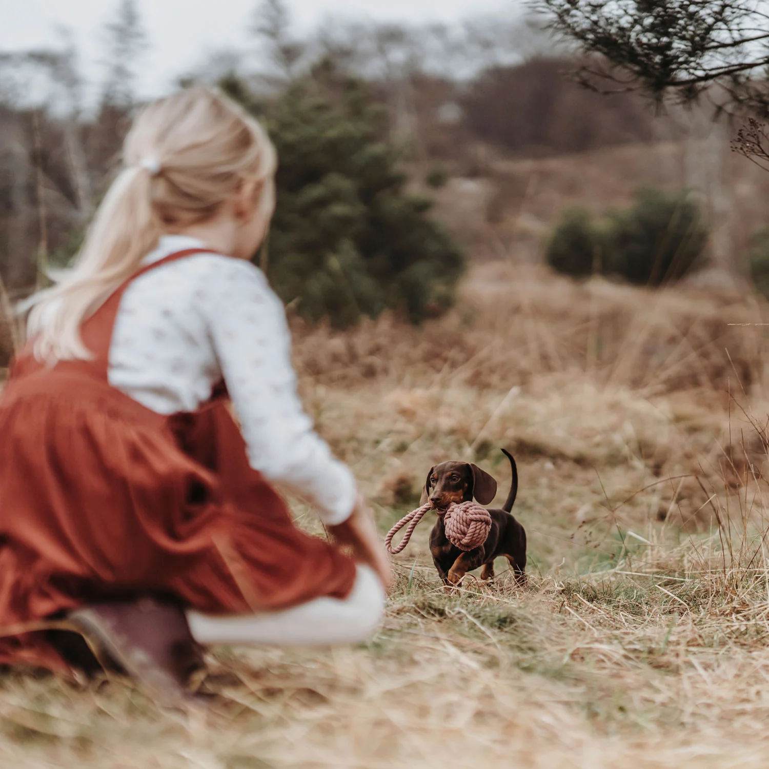 Παιχνίδι σκύλου HUNTER Inari - Image 6