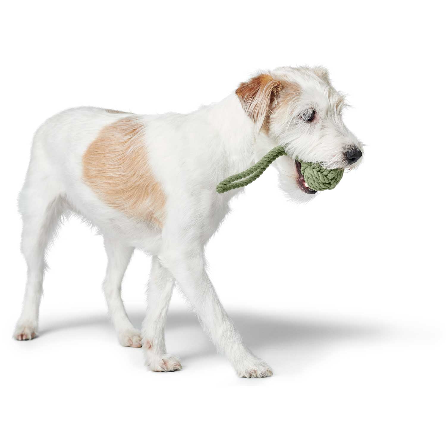 Παιχνίδι σκύλου HUNTER Inari - Image 16