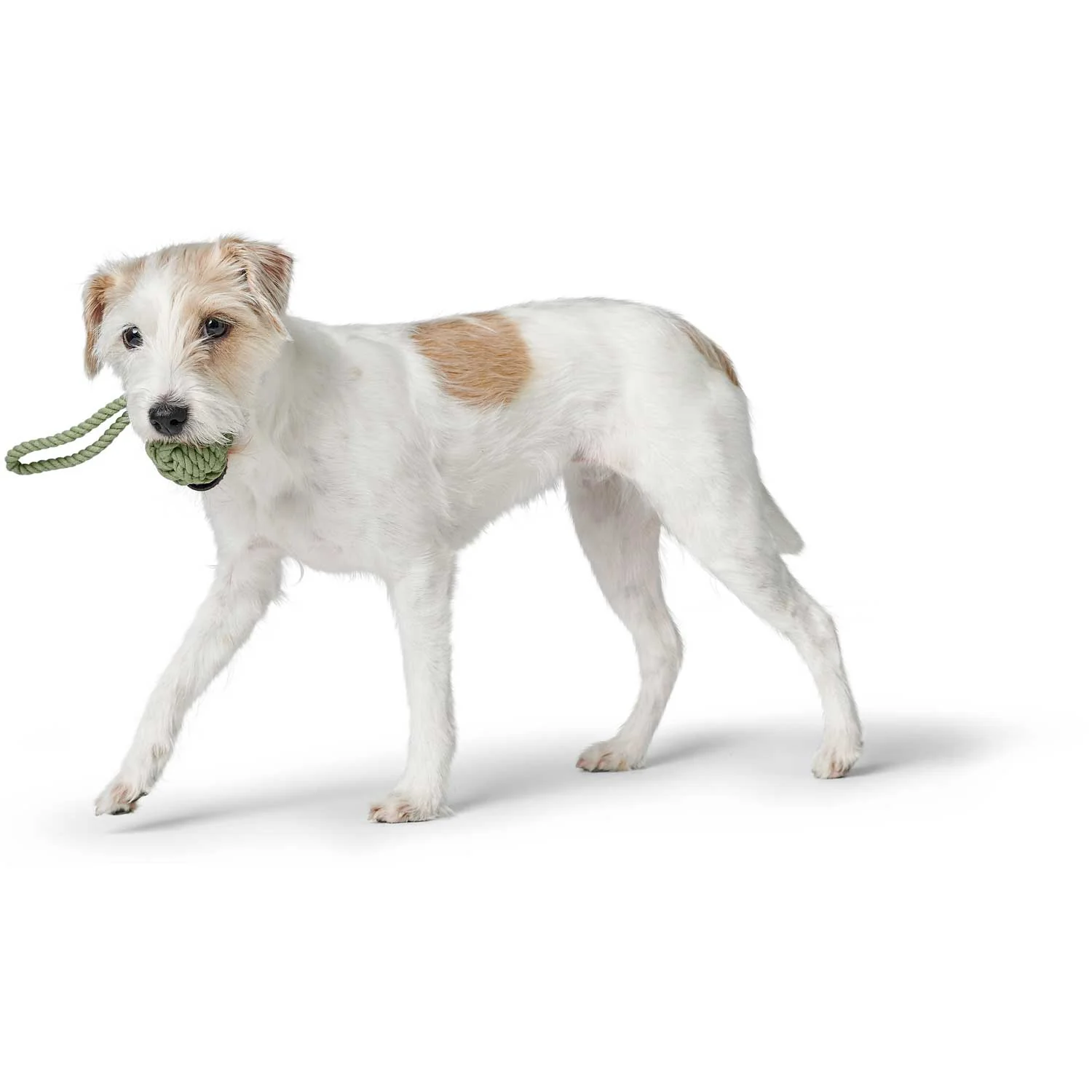 Παιχνίδι σκύλου HUNTER Inari - Image 13