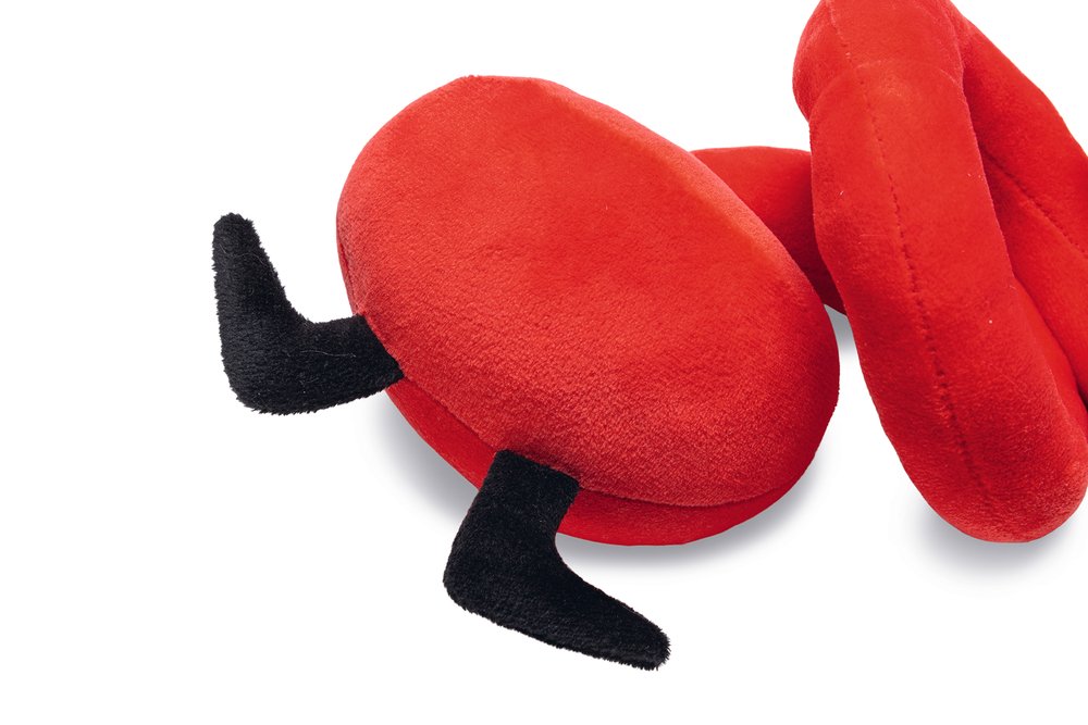 Χριστουγεννιάτικο παιχνίδι σκύλου BEEZTEES Άγιος Βασίλης - Image 4