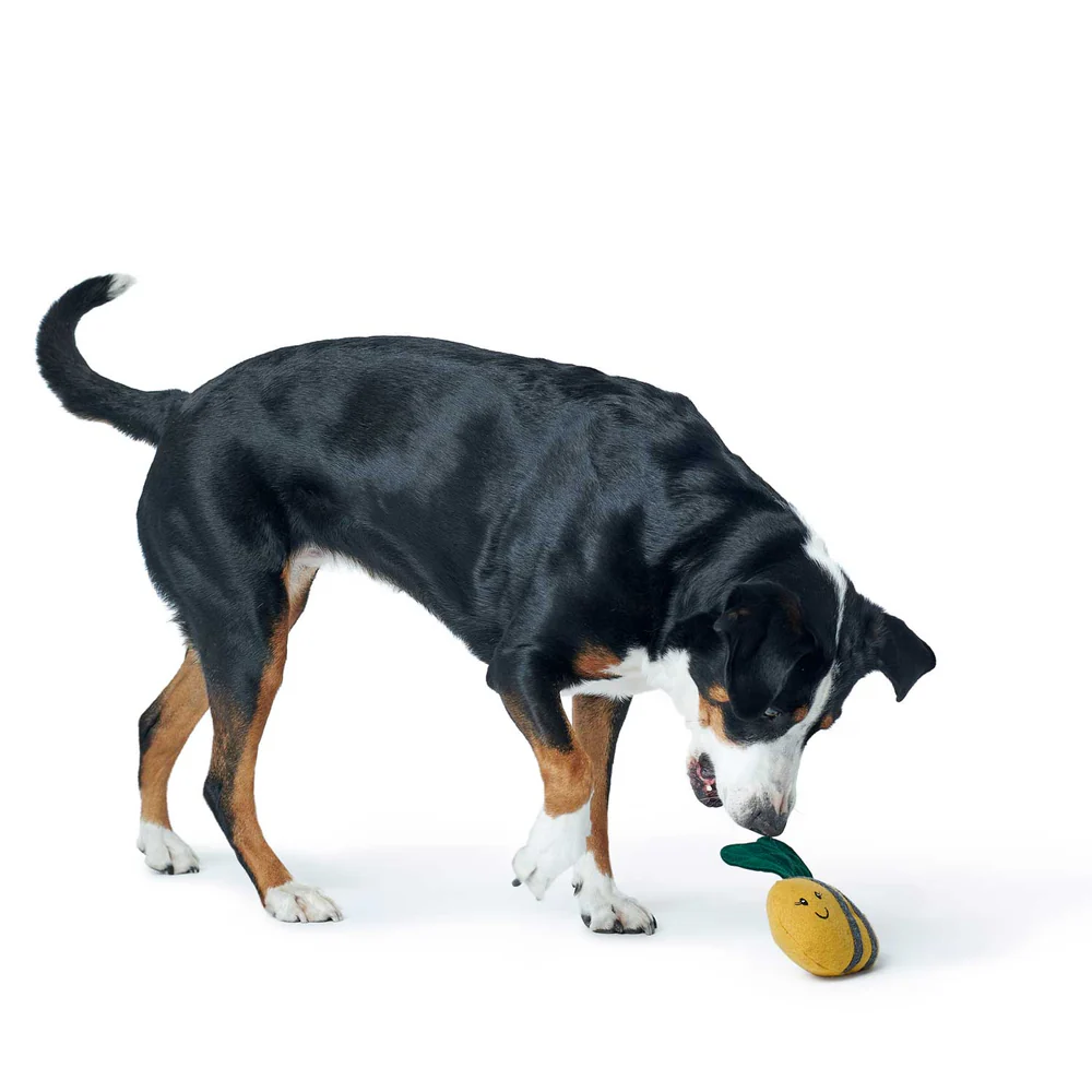 Παιχνίδι σκύλου HUNTER Florenz Hummel - Image 3